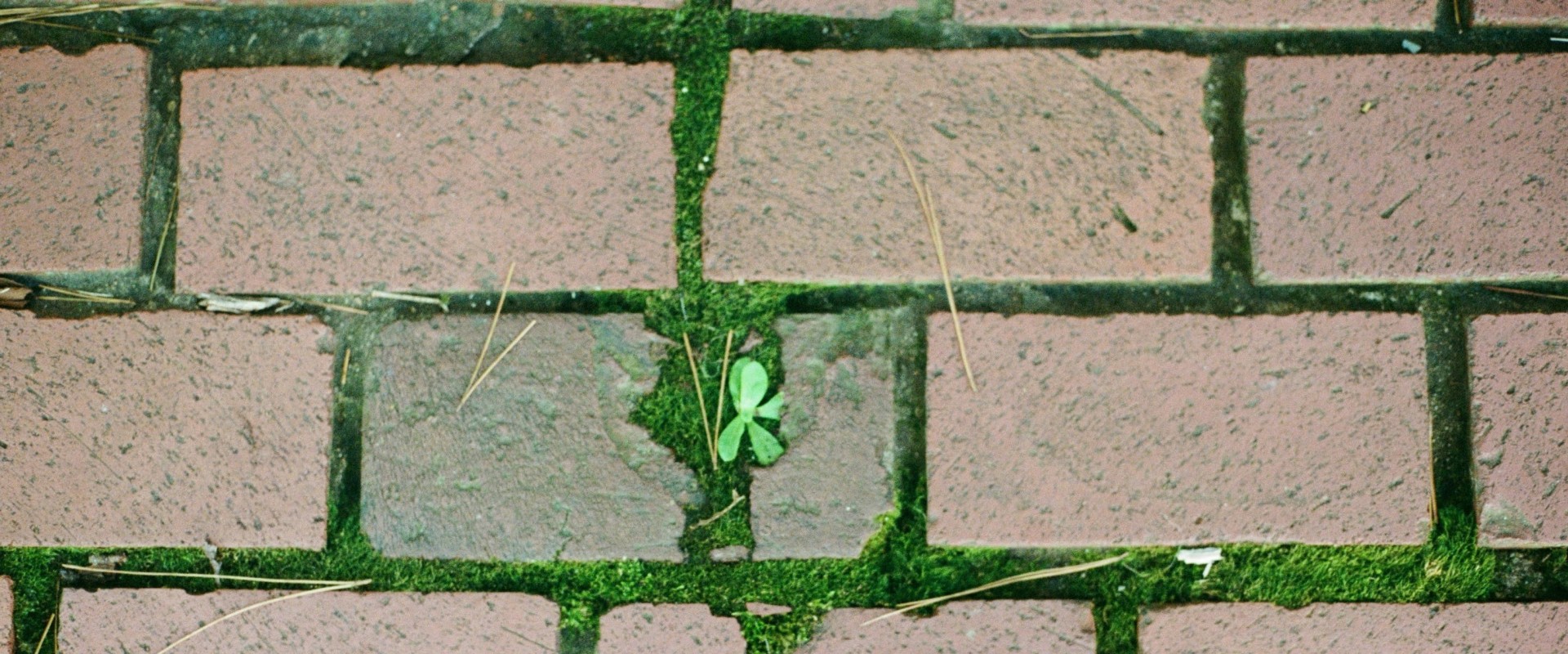 Common Masonry Issues with Chimneys: A Comprehensive Guide